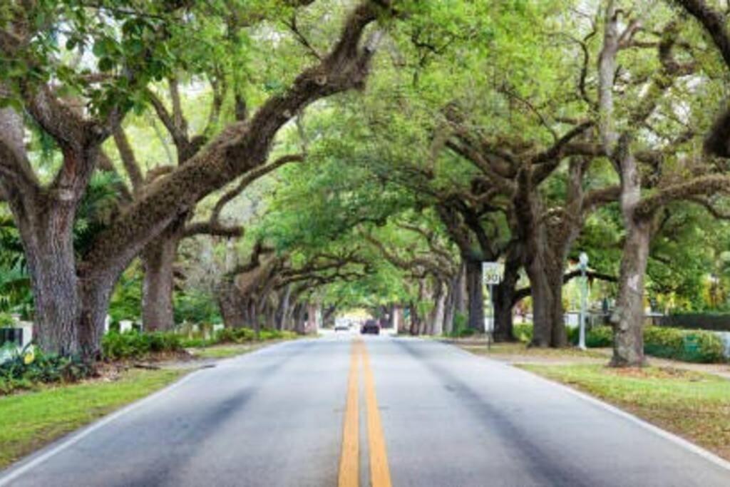 My Lovely Home In Miami 15 Minutes From The Beach Exteriér fotografie